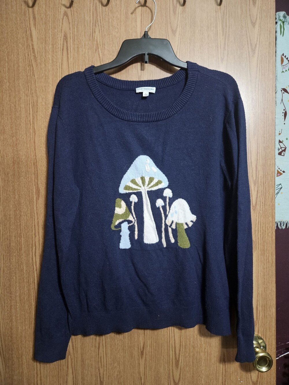 Earthbound Mushroom Graphics Fairycore Cottage Crew Neck Size Large!